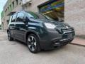 usato FIAT Pandina