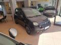 usato FIAT Panda