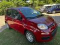 usato FIAT Panda