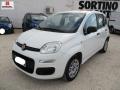 usato FIAT Panda