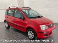 usato FIAT Panda