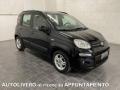 usato FIAT Panda