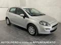 usato FIAT Punto