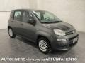 usato FIAT Panda