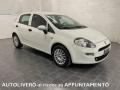 usato FIAT Punto