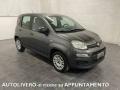 usato FIAT Panda