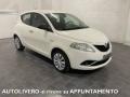 usato LANCIA Ypsilon