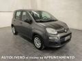 usato FIAT Panda