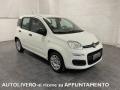usato FIAT Panda