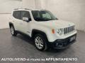 usato JEEP Renegade