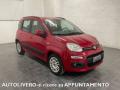 usato FIAT Panda