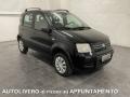 usato FIAT Panda