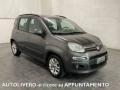 usato FIAT Panda
