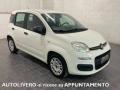usato FIAT Panda