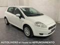 usato FIAT Grande Punto