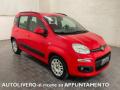 usato FIAT Panda