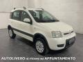usato FIAT Panda