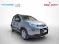usato FIAT Panda