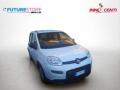 usato FIAT Panda
