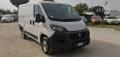 usato FIAT Ducato