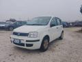 usato FIAT Panda