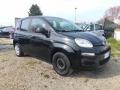 usato FIAT Panda