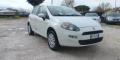usato FIAT Punto Evo