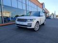 usato LAND ROVER Range Rover
