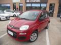 usato FIAT Panda