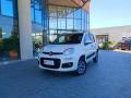 usato FIAT Panda