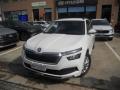 usato SKODA Kamiq