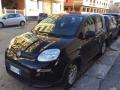 usato FIAT Panda