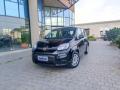 usato FIAT Panda