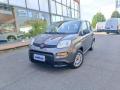 usato FIAT Panda