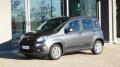 usato FIAT Panda