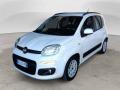 usato FIAT Panda