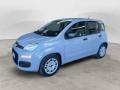 usato FIAT Panda