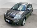 usato FIAT Panda