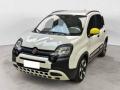 usato FIAT Panda Cross