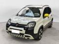usato FIAT Panda Cross