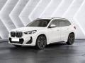 usato BMW X1