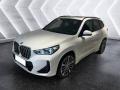 usato BMW X1