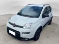 usato FIAT Panda