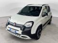 usato FIAT Panda Cross