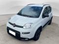 usato FIAT Panda