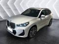 usato BMW X1