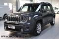 usato JEEP Renegade