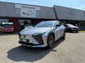 usato LEXUS RZ Full Electric