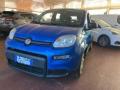 usato FIAT Panda