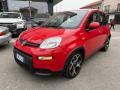 usato FIAT Panda
